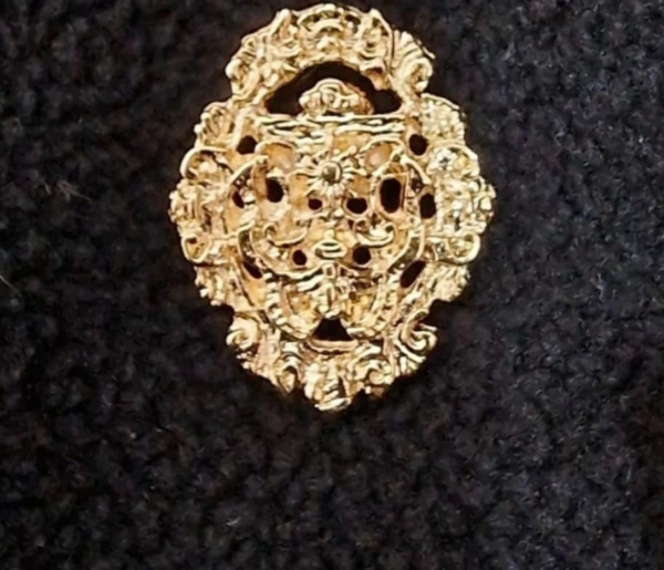 Pin Insignia